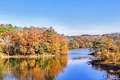 Lake Ippeki